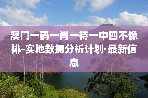 澳門一碼一肖一待一中四不像排-實(shí)地?cái)?shù)據(jù)分析計(jì)劃·最新信息