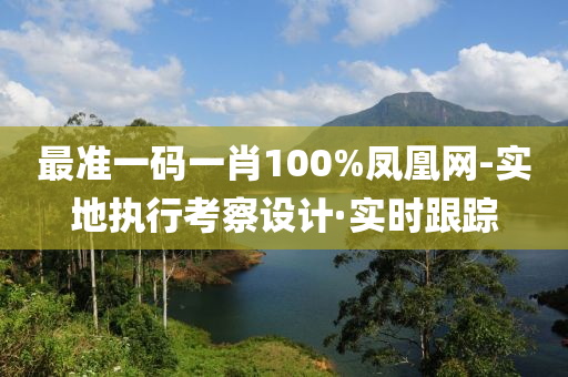 最準一碼一肖100%鳳凰網(wǎng)-實地執(zhí)行考察設(shè)計·實時跟蹤