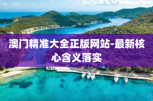 澳門精準大全正版網(wǎng)站-最新核心含義落實