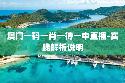 澳門一碼一肖一待一中直播-實(shí)踐解析說明