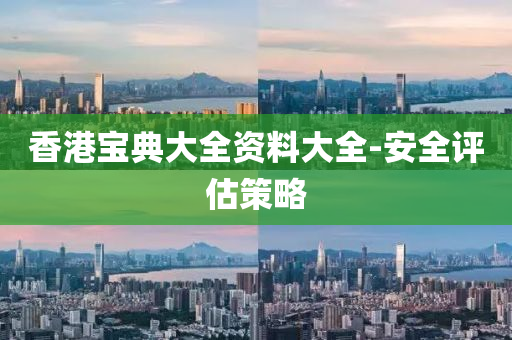 香港寶典大全資料大全-安全評估策略
