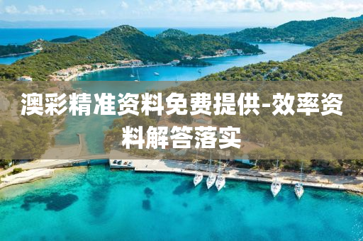 澳彩精準(zhǔn)資料免費(fèi)提供-效率資料解答落實(shí)