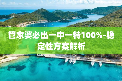 管家婆必出一中一特100%-穩(wěn)定性方案解析