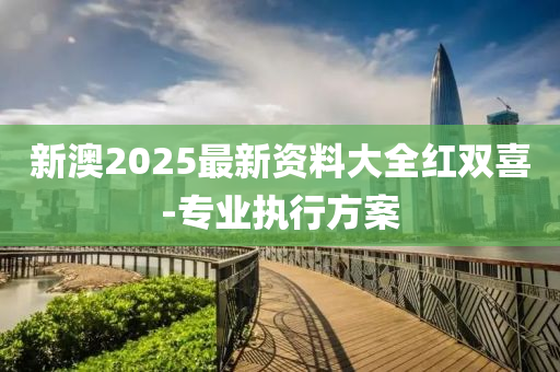 新澳2025最新資料大全紅雙喜-專業(yè)執(zhí)行方案