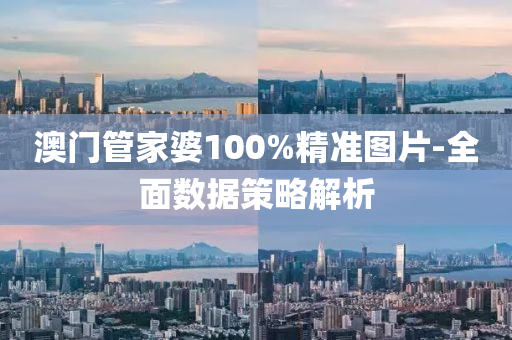 澳門管家婆100%精準圖片-全面數(shù)據(jù)策略解析