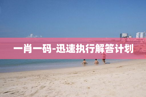 一肖一碼-迅速執(zhí)行解答計劃