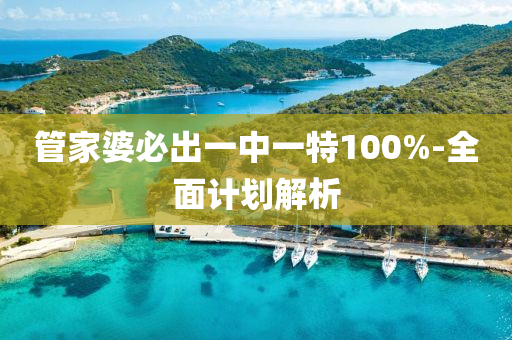 管家婆必出一中一特100%-全面計(jì)劃解析