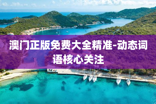 澳門正版免費(fèi)大全精準(zhǔn)-動(dòng)態(tài)詞語核心關(guān)注