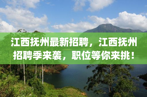 江西撫州最新招聘，江西撫州招聘季來襲，職位等你來挑！