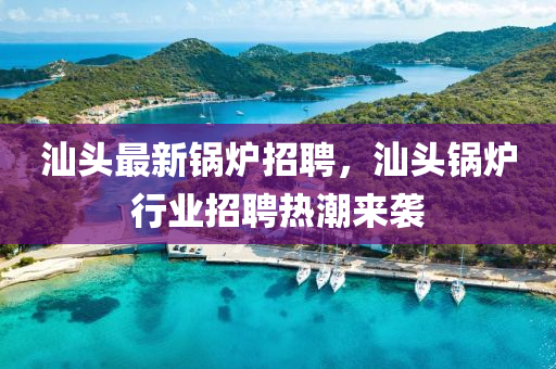 汕頭最新鍋爐招聘，汕頭鍋爐行業(yè)招聘熱潮來襲