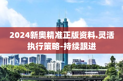 2024新奧精準(zhǔn)正版資料.靈活執(zhí)行策略-持續(xù)跟進(jìn)