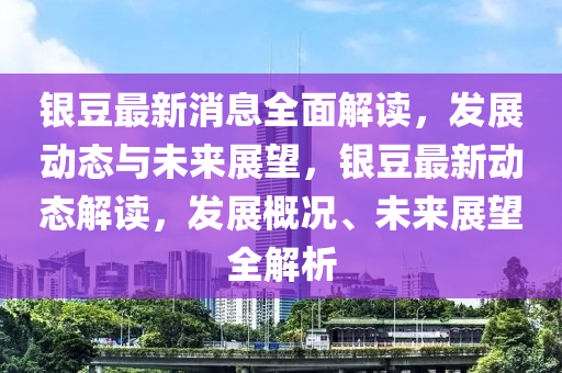 銀豆最新消息全面解讀，發(fā)展動態(tài)與未來展望，銀豆最新動態(tài)解讀，發(fā)展概況、未來展望全解析