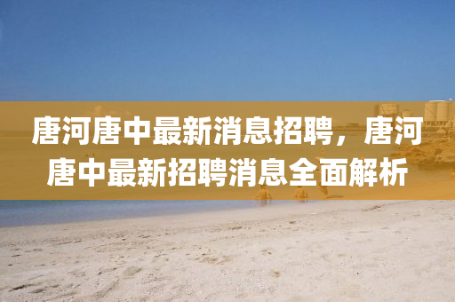 唐河唐中最新消息招聘，唐河唐中最新招聘消息全面解析