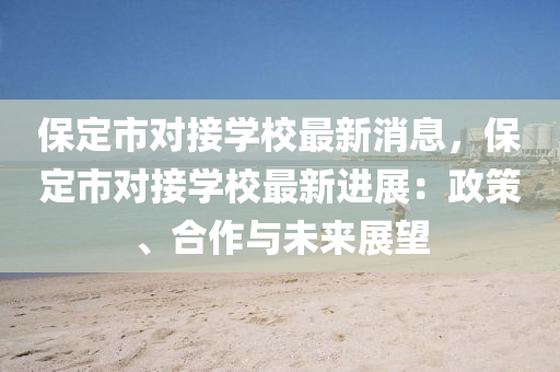 保定市對接學校最新消息，保定市對接學校最新進展：政策、合作與未來展望