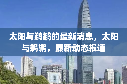 太陽與鵜鶘的最新消息，太陽與鵜鶘，最新動(dòng)態(tài)報(bào)道