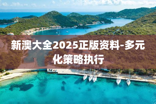 新澳大全2025正版資料-多元化策略執(zhí)行