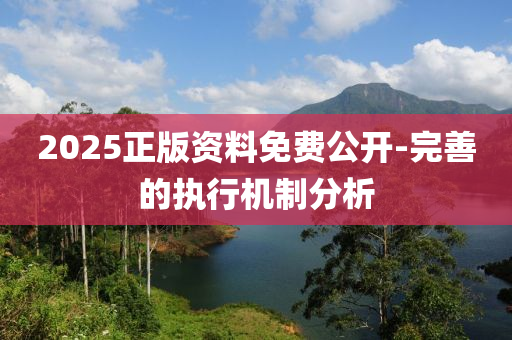 2025正版資料免費(fèi)公開-完善的執(zhí)行機(jī)制分析