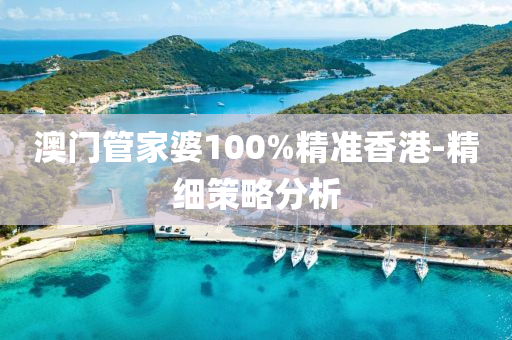 澳門(mén)管家婆100%精準(zhǔn)香港-精細(xì)策略分析