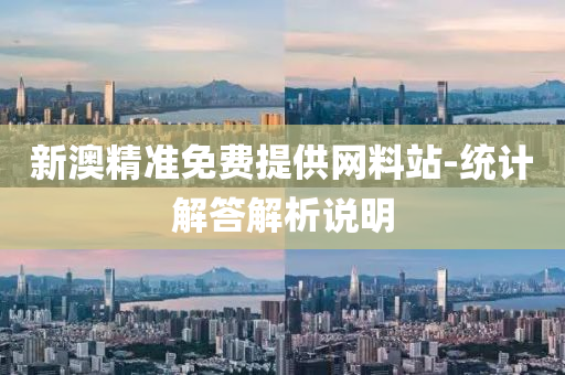 新澳精準免費提供網(wǎng)料站-統(tǒng)計解答解析說明