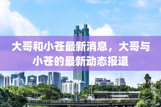 大哥和小蒼最新消息，大哥與小蒼的最新動(dòng)態(tài)報(bào)道