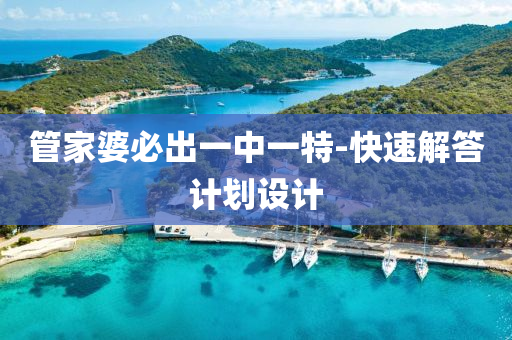 管家婆必出一中一特-快速解答計劃設(shè)計