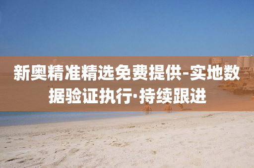 新奧精準(zhǔn)精選免費(fèi)提供-實(shí)地?cái)?shù)據(jù)驗(yàn)證執(zhí)行·持續(xù)跟進(jìn)