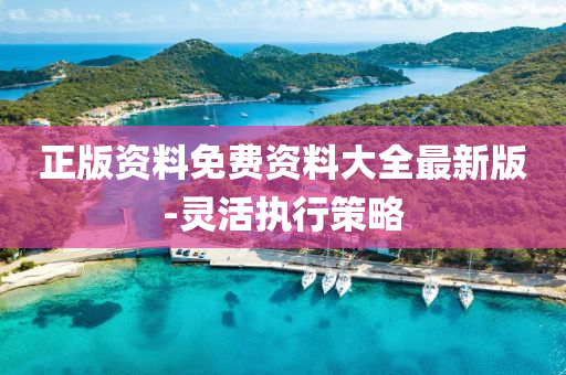 正版資料免費資料大全最新版-靈活執(zhí)行策略