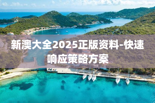新澳大全2025正版資料-快速響應(yīng)策略方案
