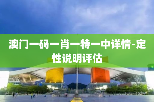 澳門一碼一肖一特一中詳情-定性說明評估