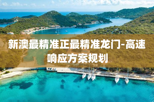 新澳最精準(zhǔn)正最精準(zhǔn)龍門-高速響應(yīng)方案規(guī)劃