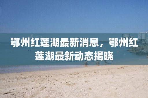 鄂州紅蓮湖最新消息，鄂州紅蓮湖最新動態(tài)揭曉