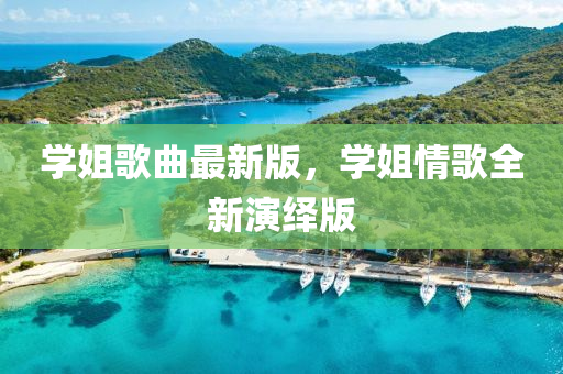 學(xué)姐歌曲最新版，學(xué)姐情歌全新演繹版