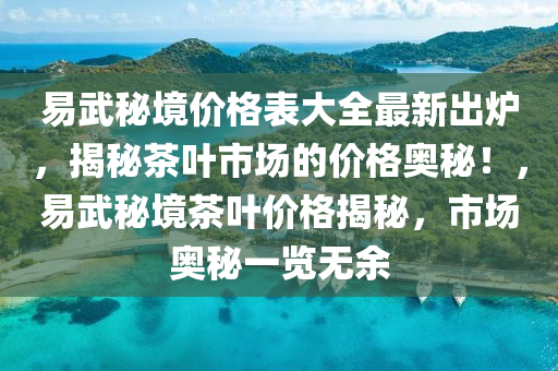 易武秘境價格表大全最新出爐，揭秘茶葉市場的價格奧秘！，易武秘境茶葉價格揭秘，市場奧秘一覽無余