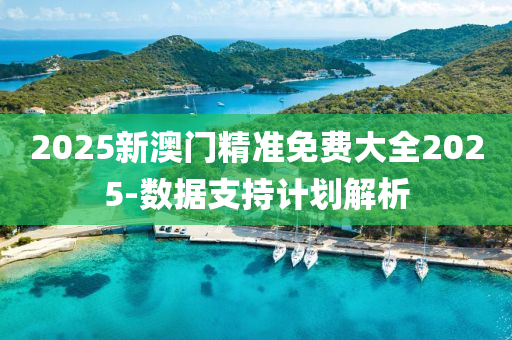 2025新澳門精準(zhǔn)免費(fèi)大全2025-數(shù)據(jù)支持計(jì)劃解析