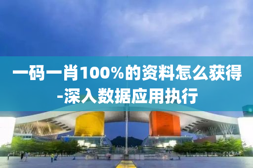 一碼一肖100%的資料怎么獲得-深入數(shù)據(jù)應(yīng)用執(zhí)行
