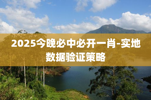2025今晚必中必開(kāi)一肖-實(shí)地?cái)?shù)據(jù)驗(yàn)證策略
