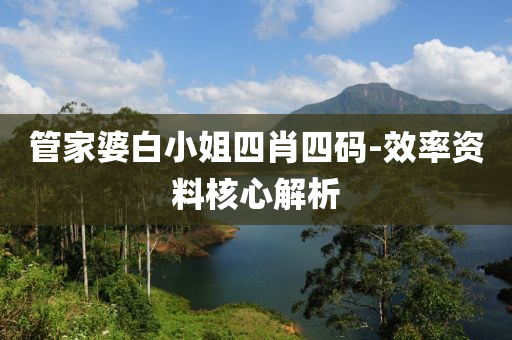 管家婆白小姐四肖四碼-效率資料核心解析