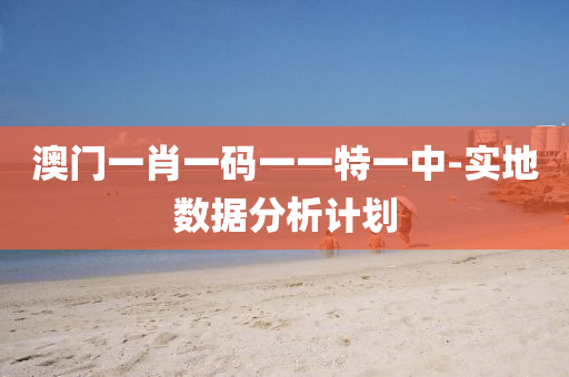 澳門一肖一碼一一特一中-實地數(shù)據(jù)分析計劃