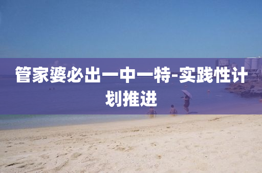 管家婆必出一中一特-實踐性計劃推進