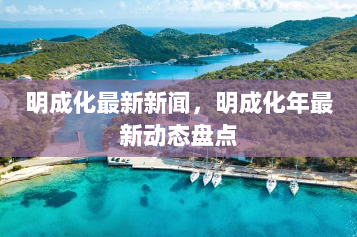 明成化最新新聞，明成化年最新動(dòng)態(tài)盤(pán)點(diǎn)