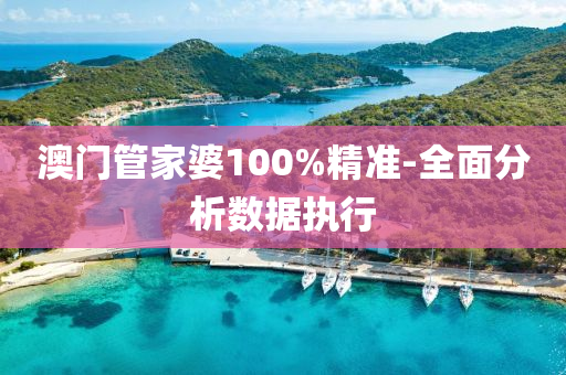 澳門管家婆100%精準-全面分析數(shù)據執(zhí)行