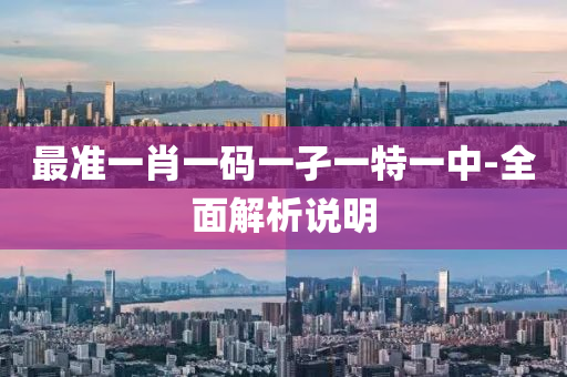 最準一肖一碼一孑一特一中-全面解析說明