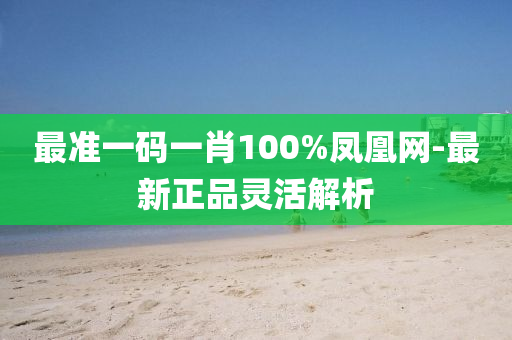 最準(zhǔn)一碼一肖100%鳳凰網(wǎng)-最新正品靈活解析