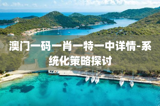 澳門一碼一肖一特一中詳情-系統(tǒng)化策略探討