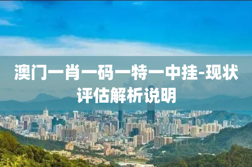 澳門一肖一碼一特一中掛-現(xiàn)狀評估解析說明
