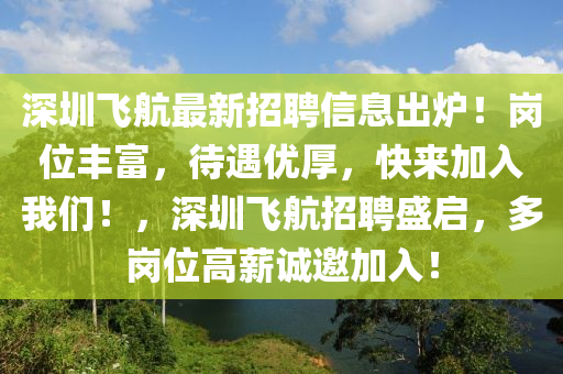 深圳飛航最新招聘信息出爐！崗位豐富，待遇優(yōu)厚，快來加入我們！，深圳飛航招聘盛啟，多崗位高薪誠邀加入！