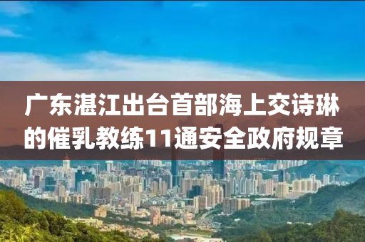 廣東湛江出臺(tái)首部海上交詩(shī)琳的催乳教練11通安全政府規(guī)章