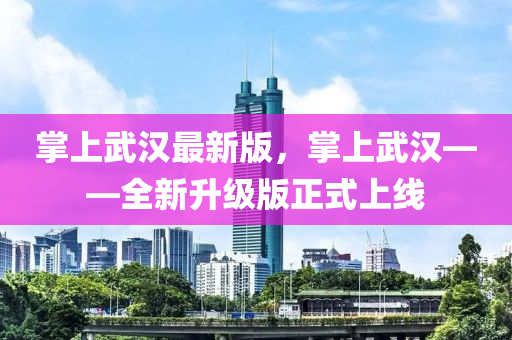 掌上武漢最新版，掌上武漢——全新升級(jí)版正式上線