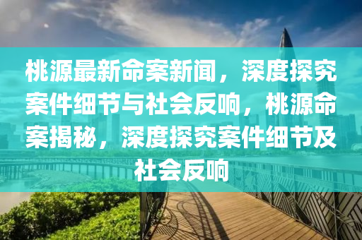 桃源最新命案新聞，深度探究案件細(xì)節(jié)與社會反響，桃源命案揭秘，深度探究案件細(xì)節(jié)及社會反響