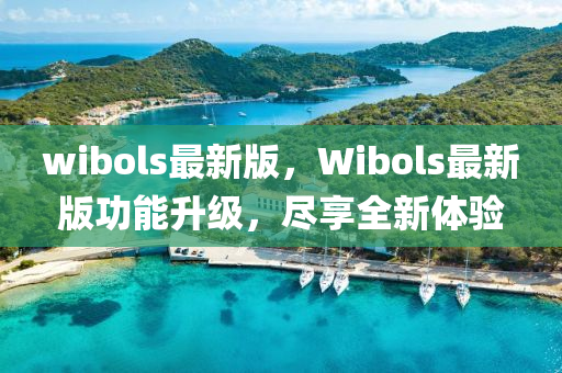 wibols最新版，Wibols最新版功能升級(jí)，盡享全新體驗(yàn)
